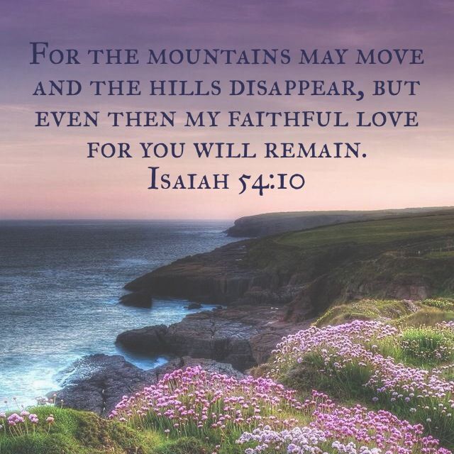 fee42-8b910cf36b586c13aebc38c8a3a86127