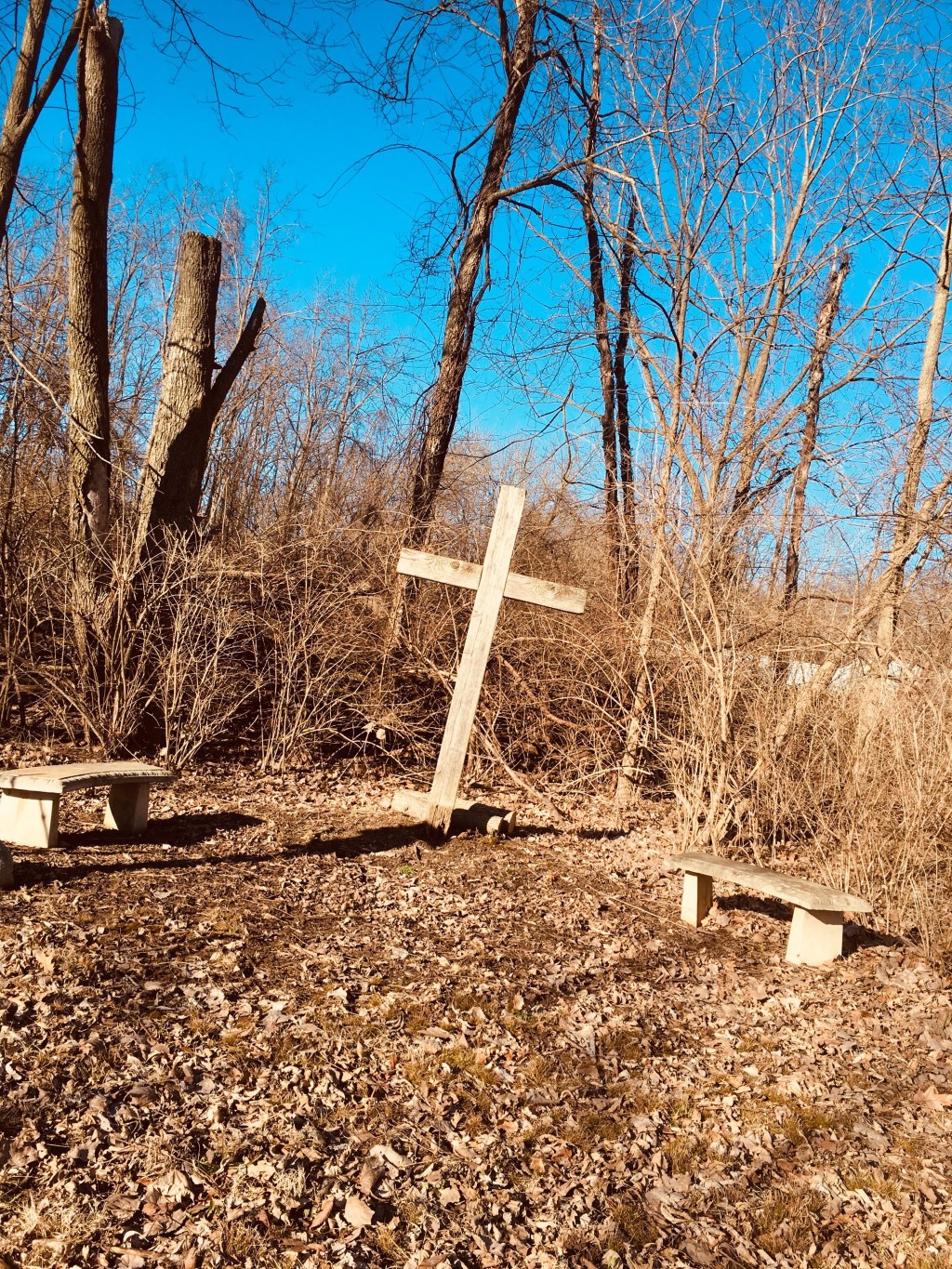 What’s Your Saturday?