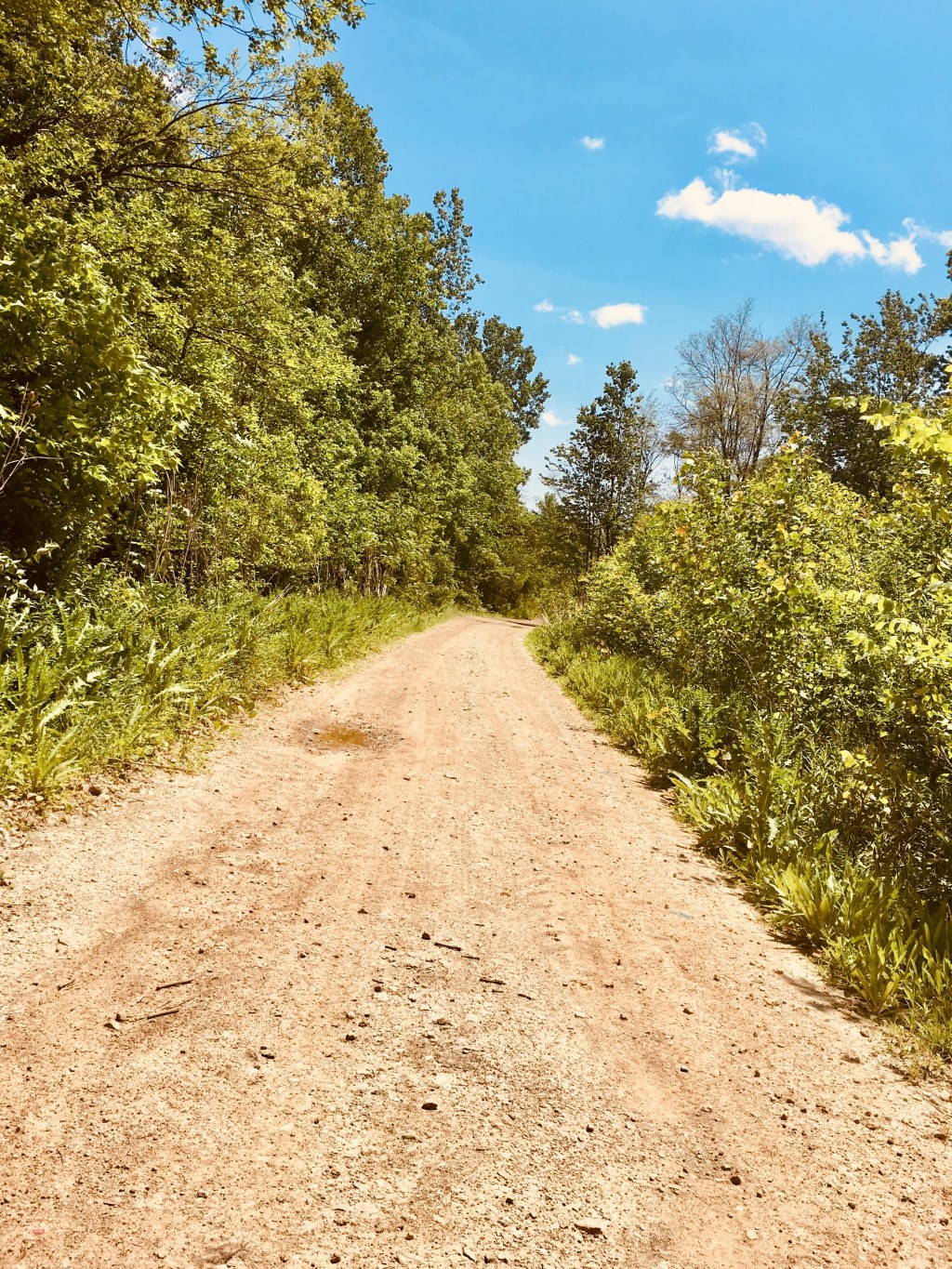 In It For the Long&nbsp;Run