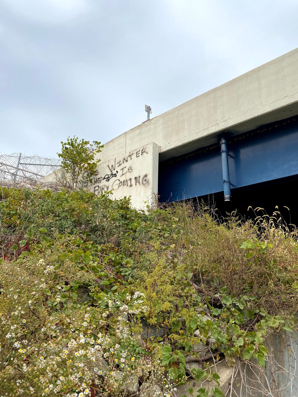 Why Does God Allow for&nbsp;Winter?