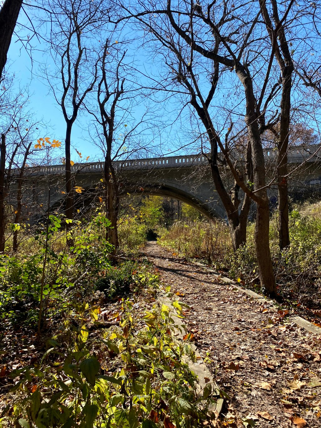 5 of the Best Trail Runs Near&nbsp;Indianapolis