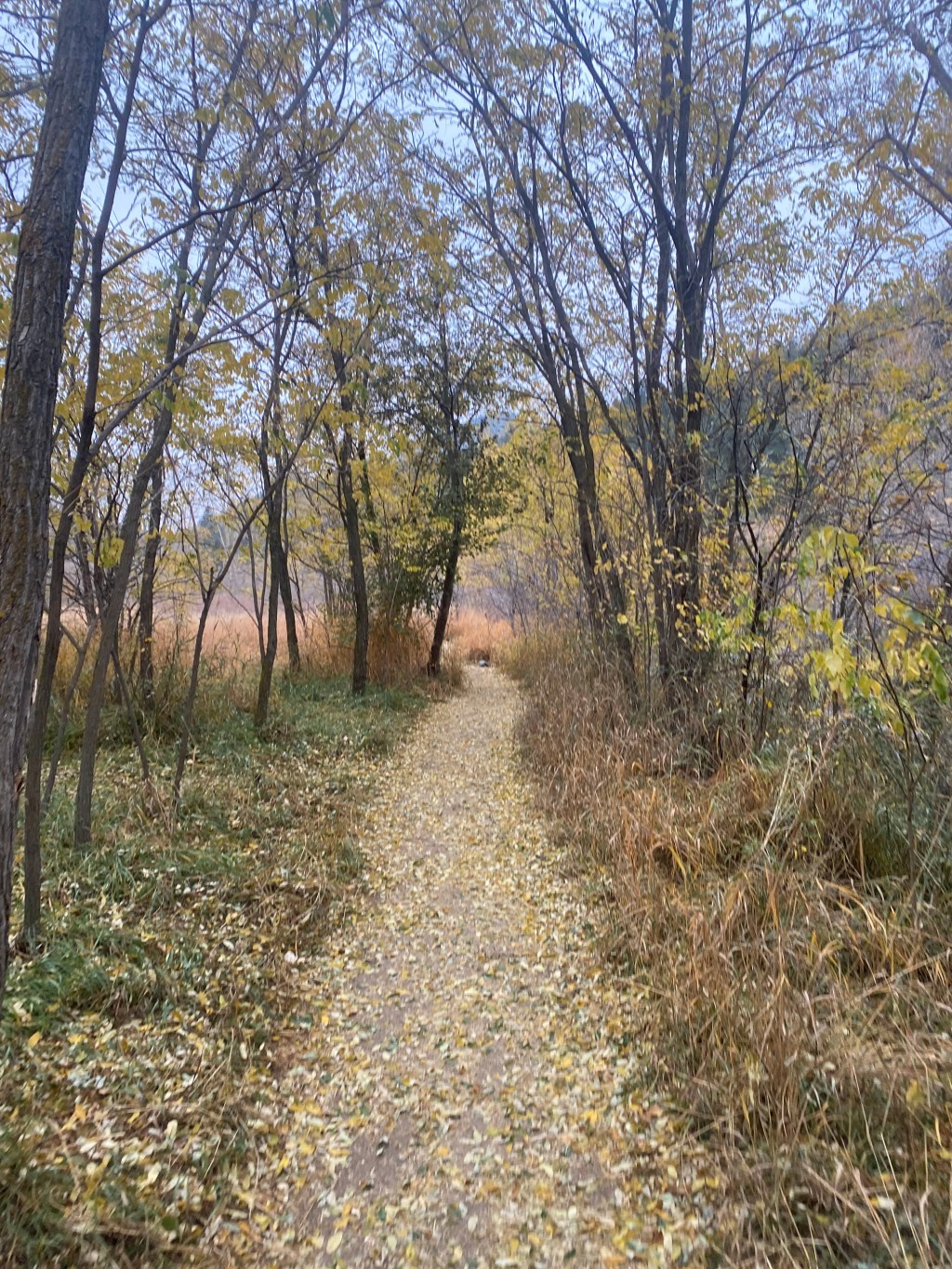 23 Things I’d Tell My January 2023&nbsp;Self