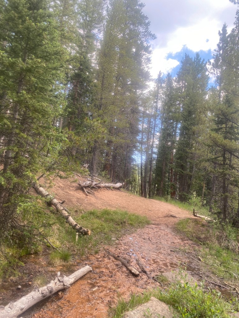 Essential Safety Tips for Trail Runners in&nbsp;2024