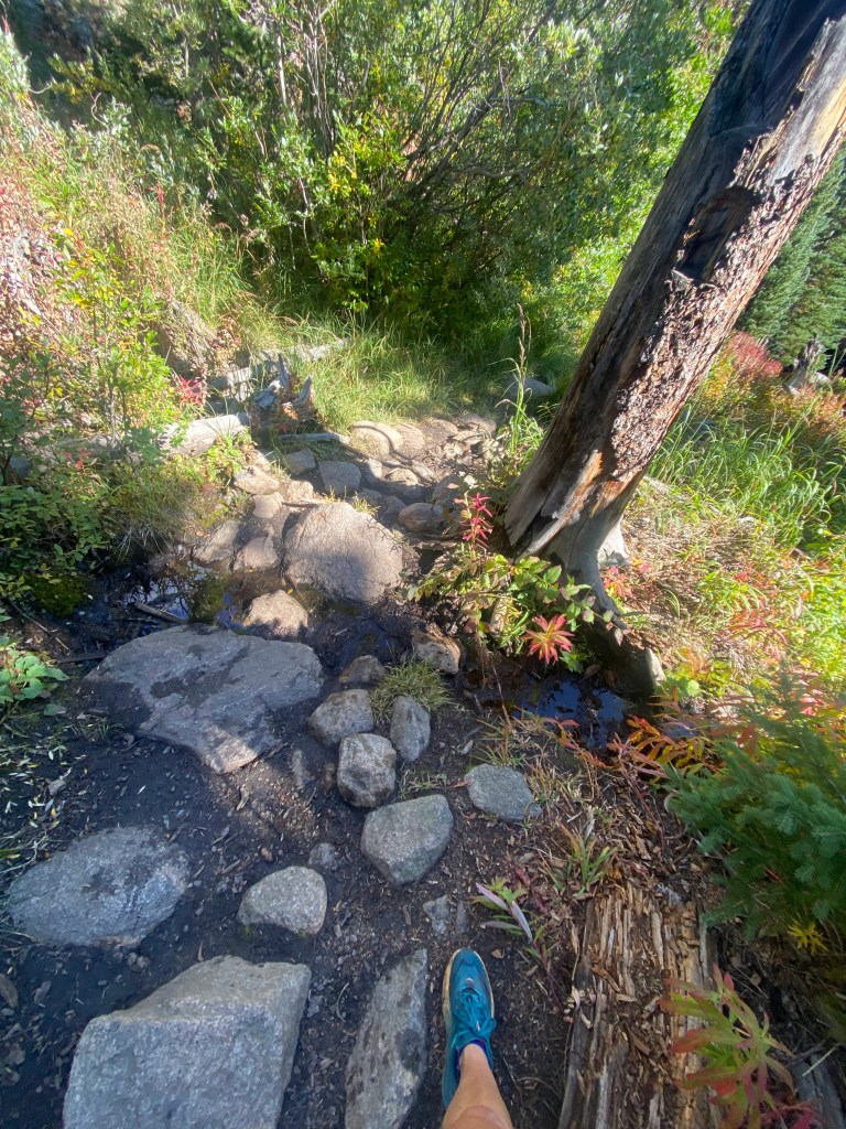 A Personal Holiday I’m Sharing For the First&nbsp;Time