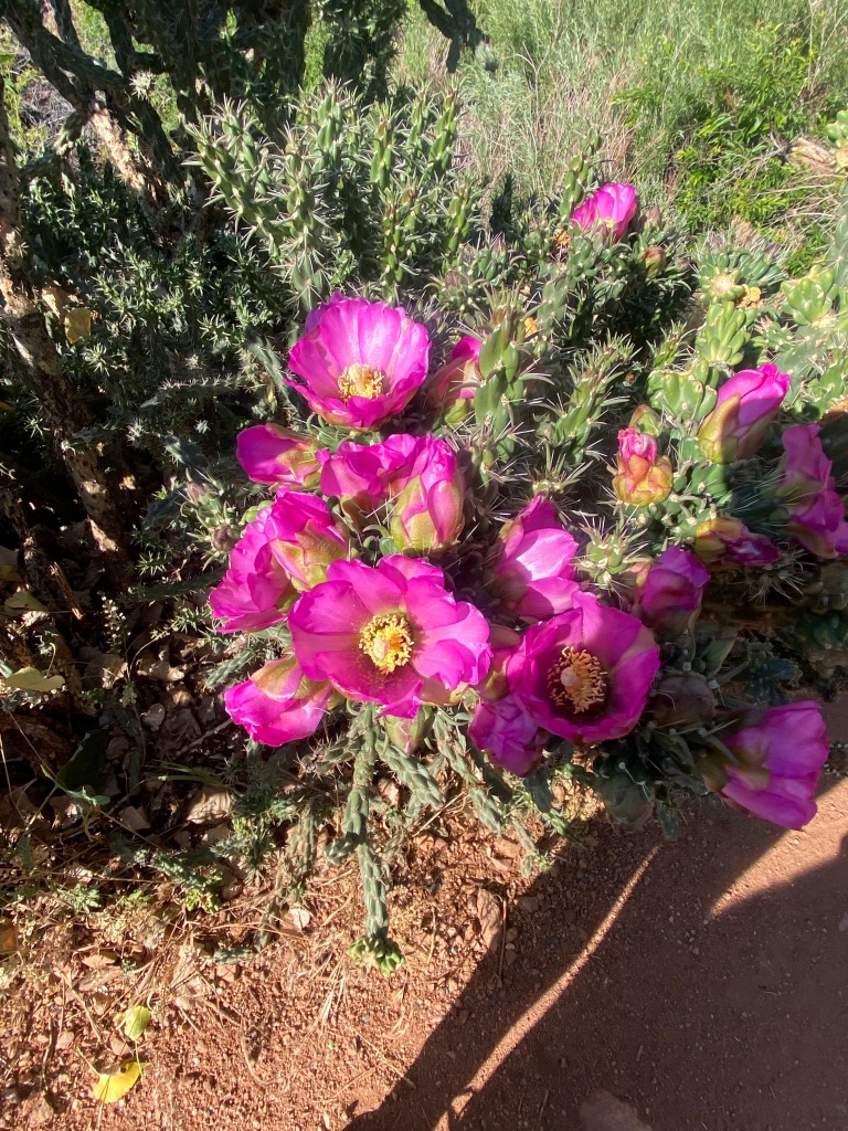 31 Days of Prayer for Your Single&nbsp;Bestie